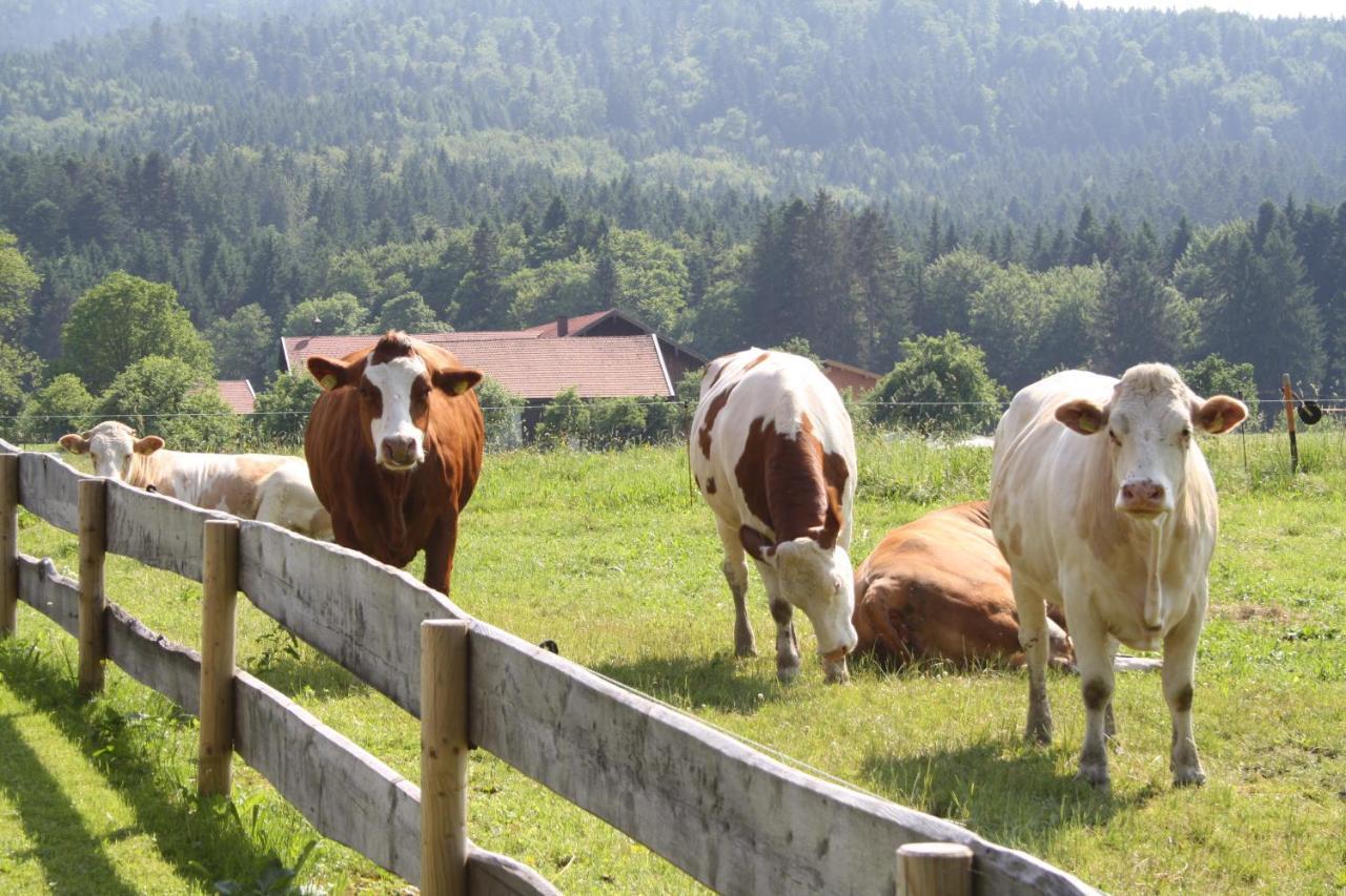Gaestehaus Herbstbauernhof Siegsdorf Eksteriør bilde